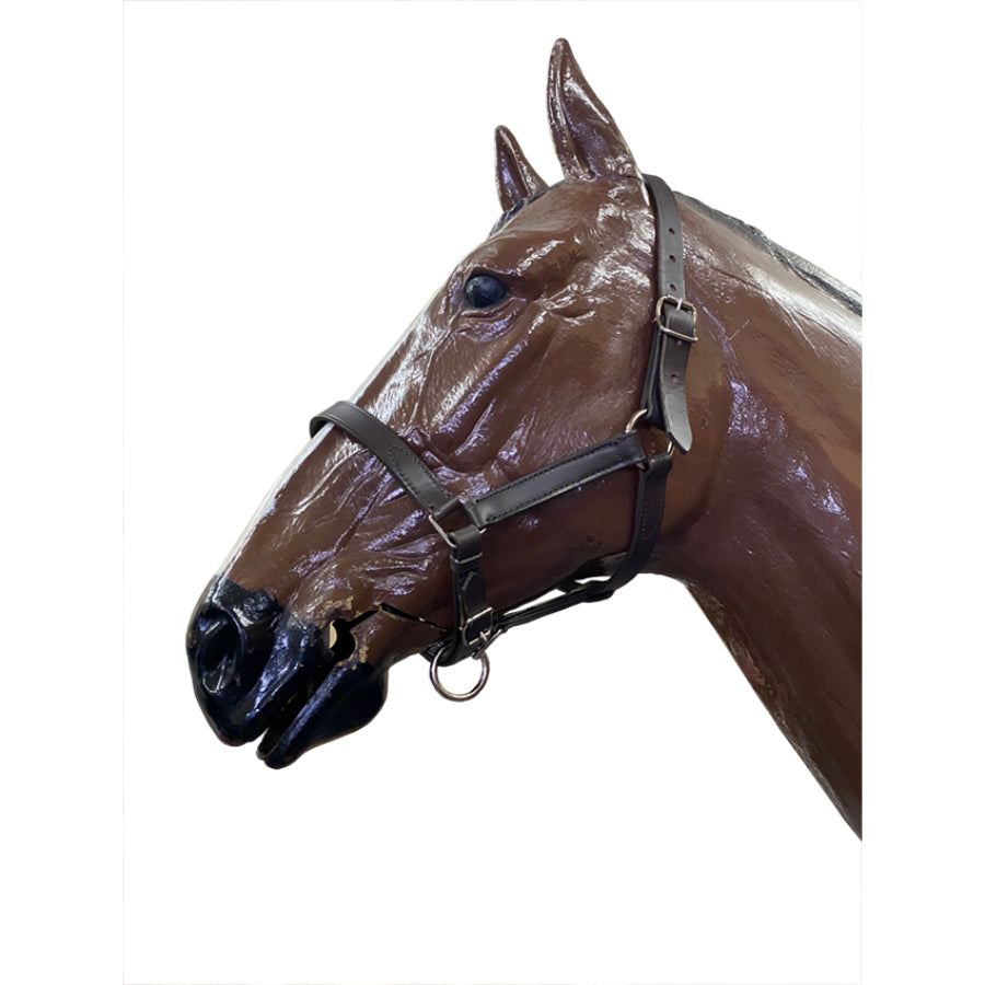 Leather Head Collar
