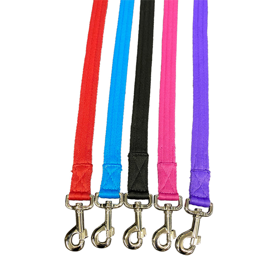 Soft Web Lead