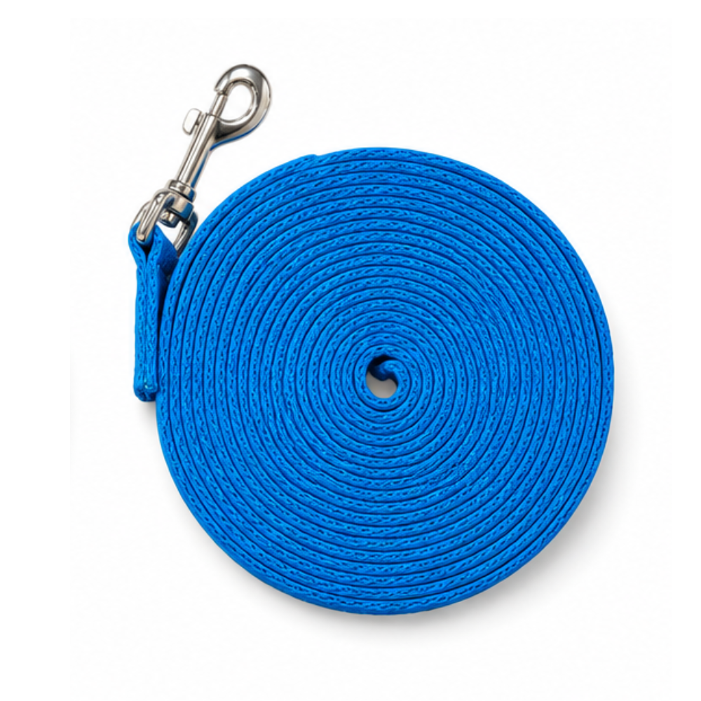 Lunge Lead Cushion Web