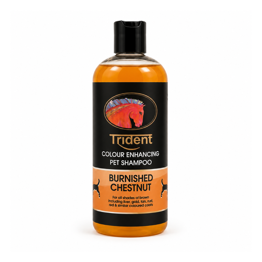 Burnished Chestnut Colour Enhancing Pet Shampoo