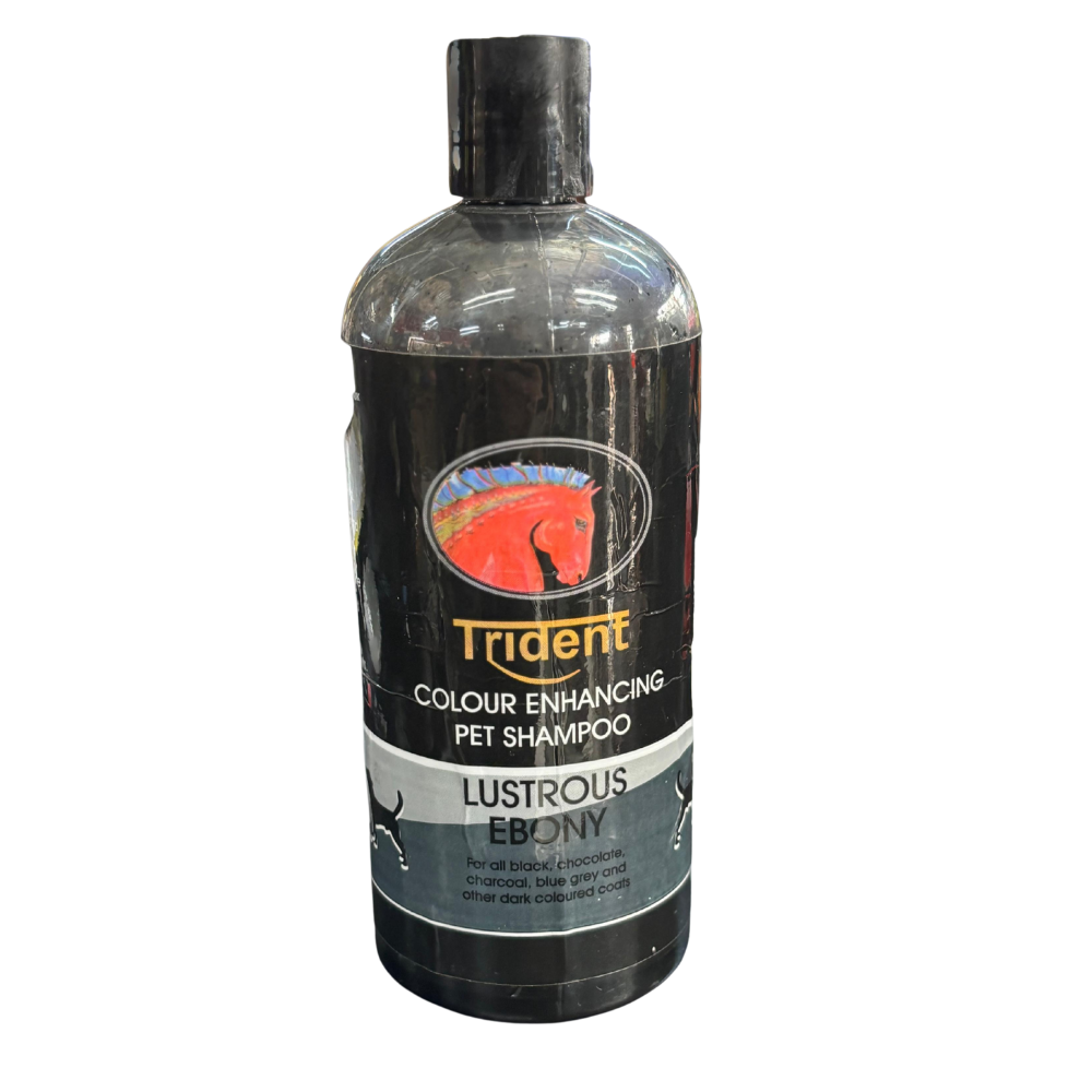 Trident Shampoo Lustrous Ebony 500ml