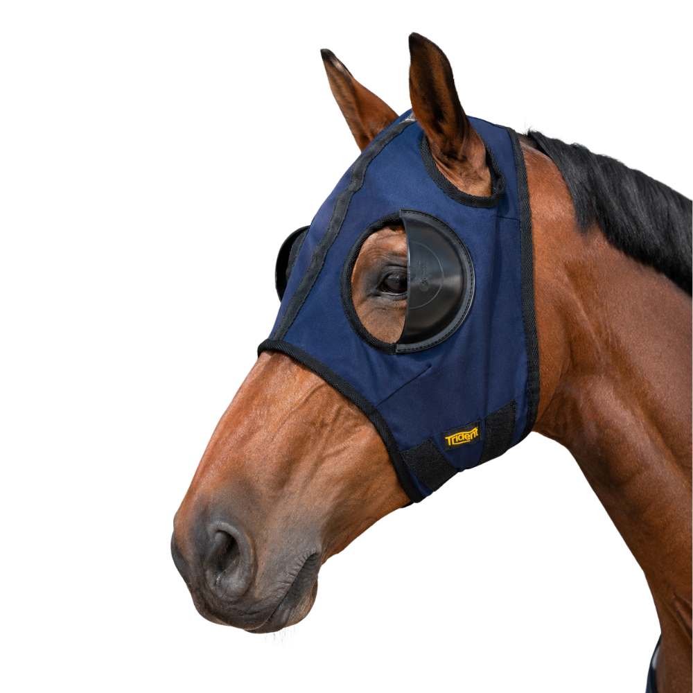 Blinkers