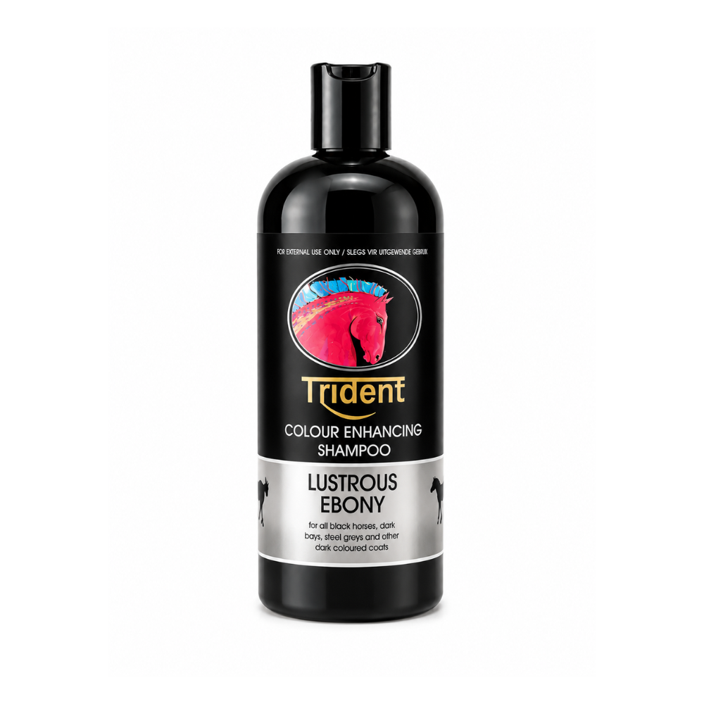 Trident Colour Enhancing Shampoo bottle for horses on a white background