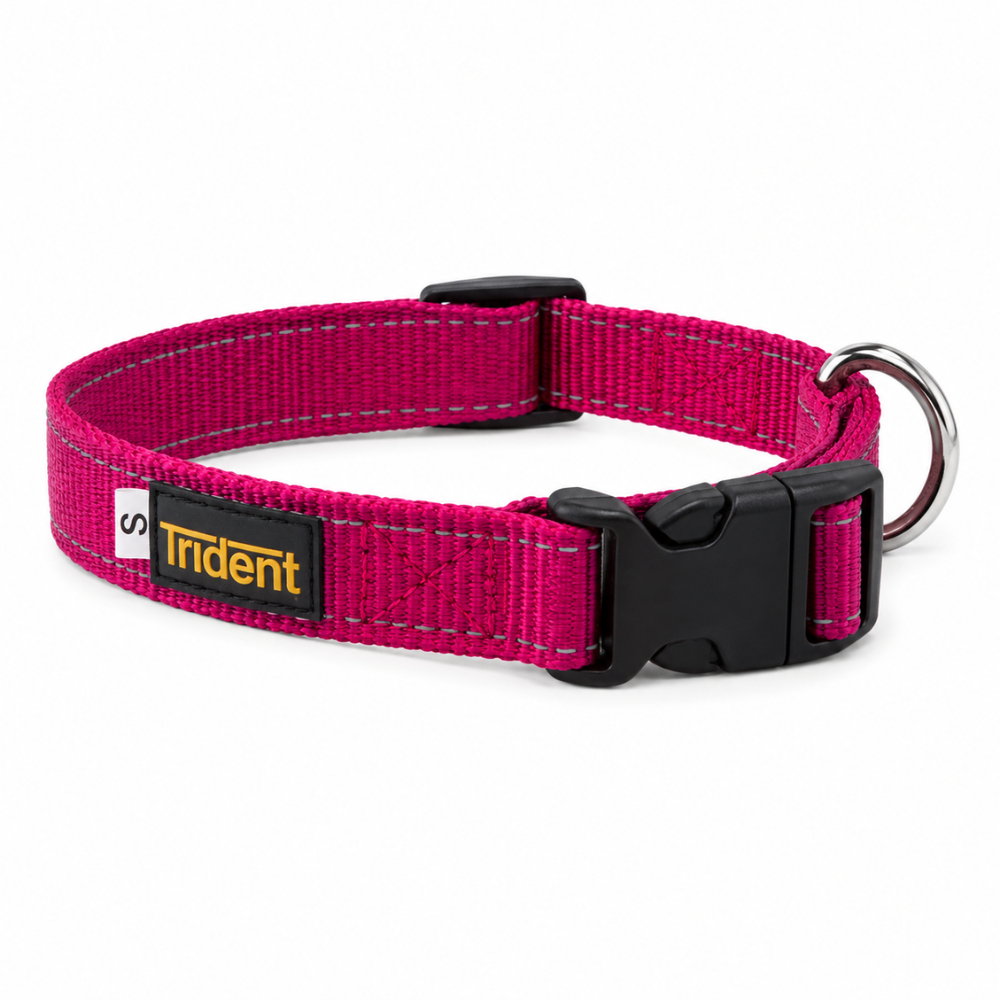Orion Reflective Collar