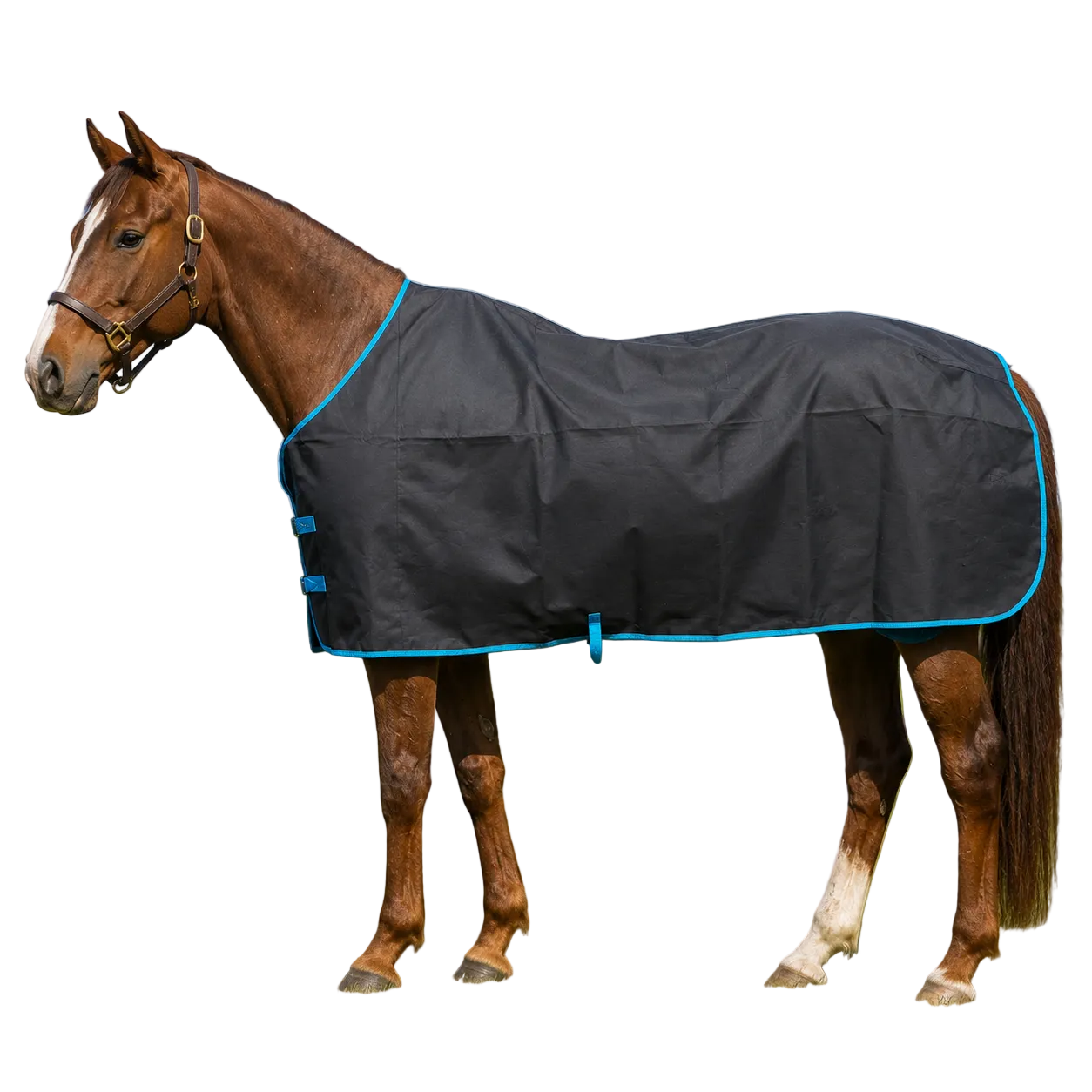 Rain Sheet