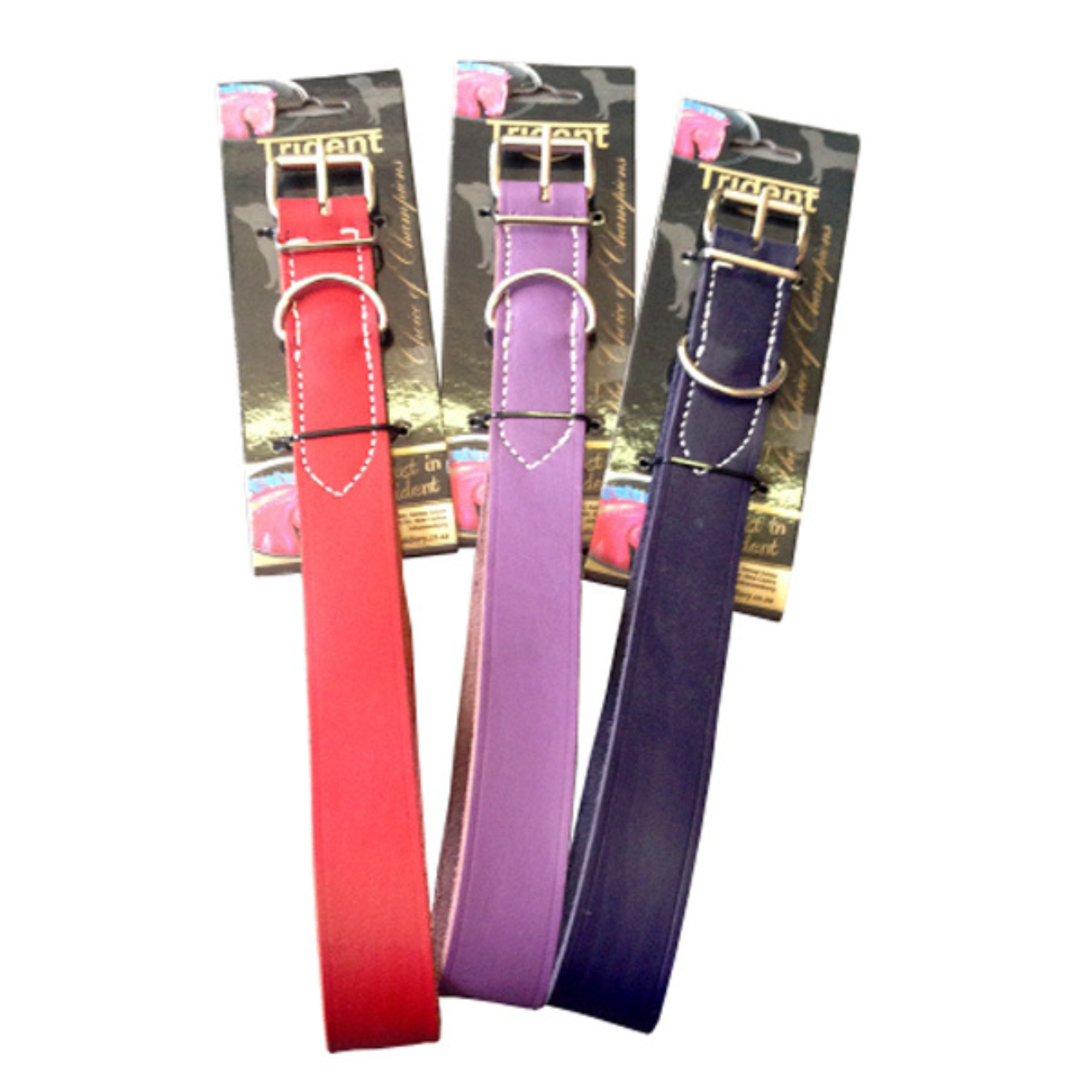 Coloured Leather Dog Collar - Main Image