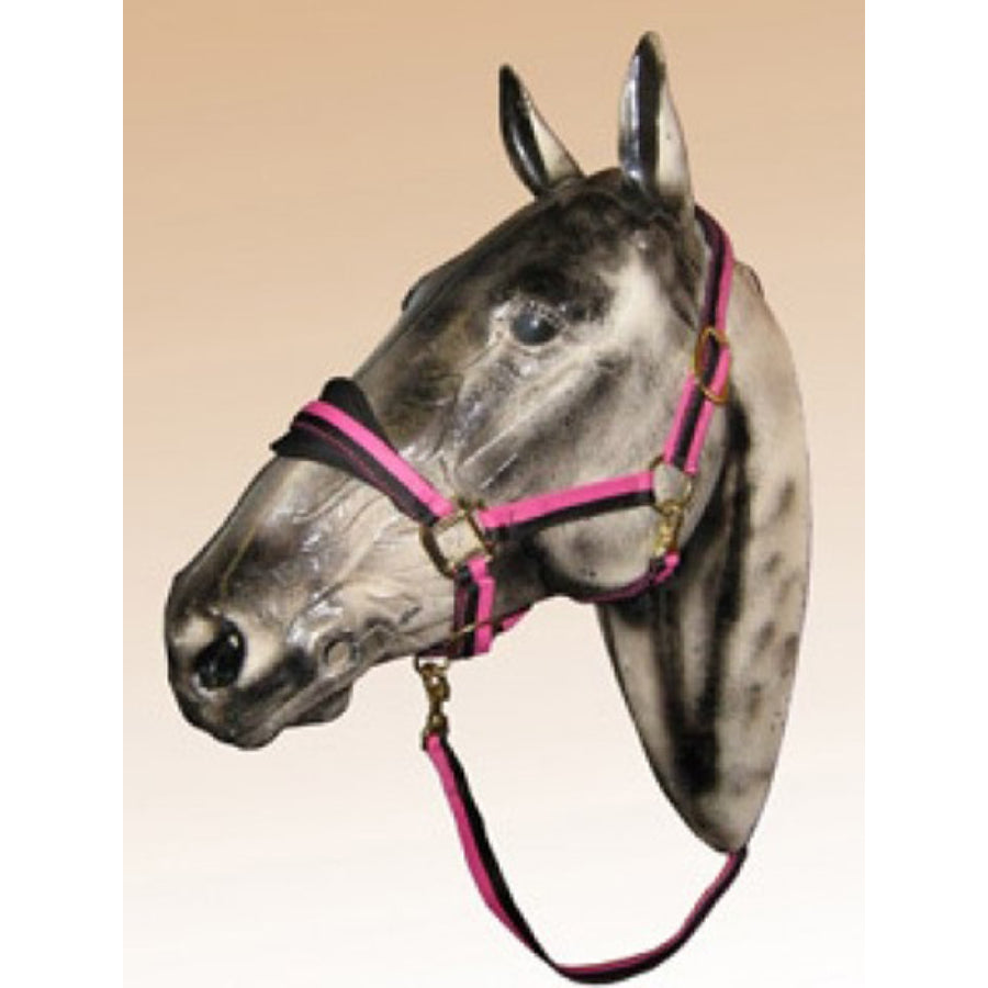 Icon Head Collar Neoprene Padded + Lead