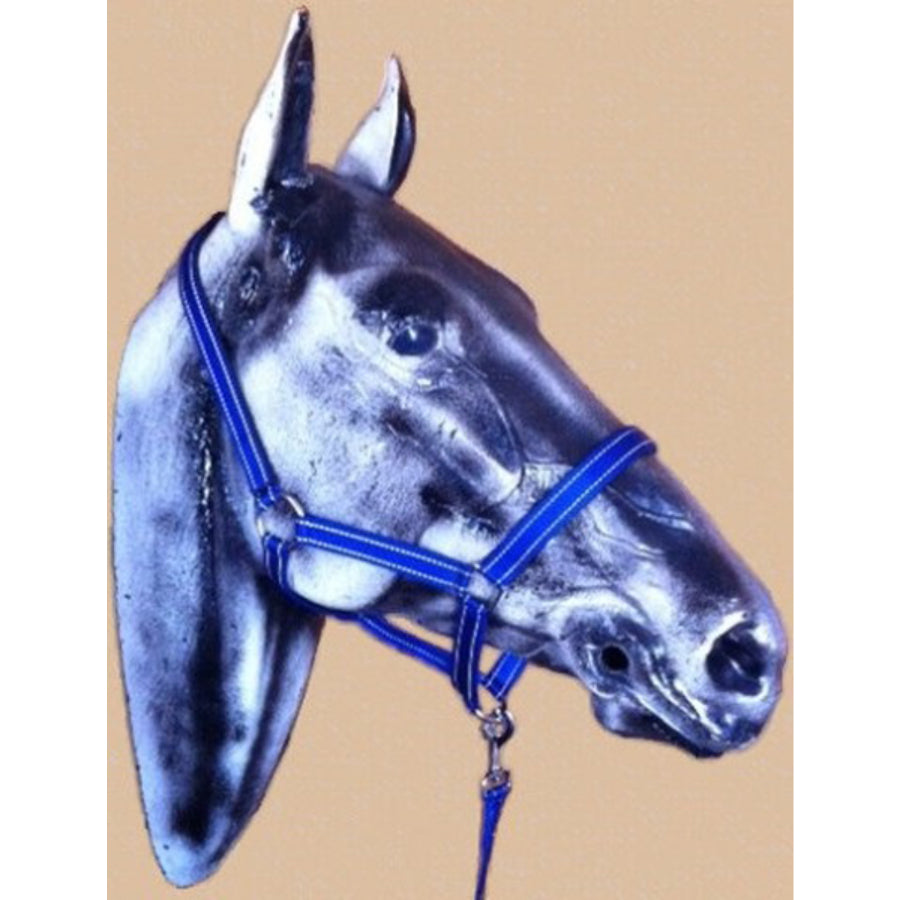 Orion Head Collar & Lead (S - XL)