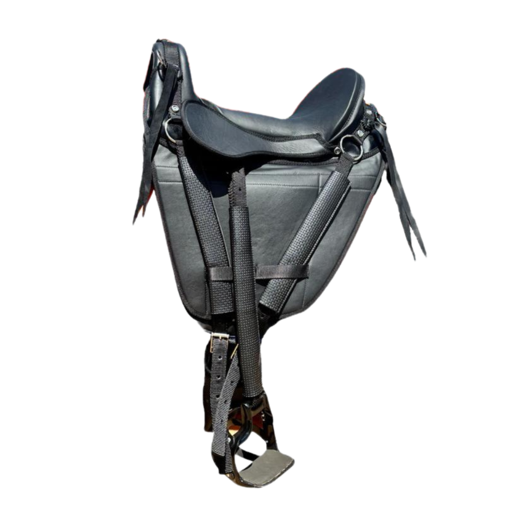 Saddlery & Tack
