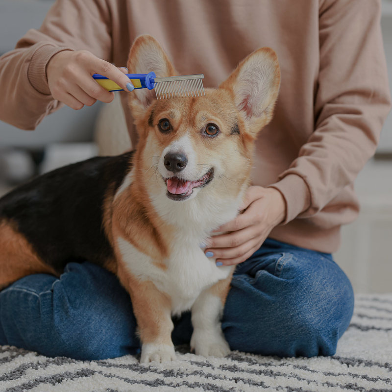 Pet Essentials