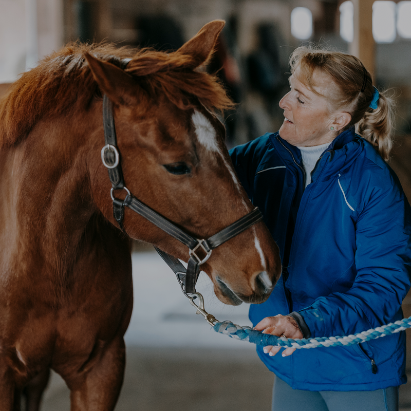 Stable & Yard