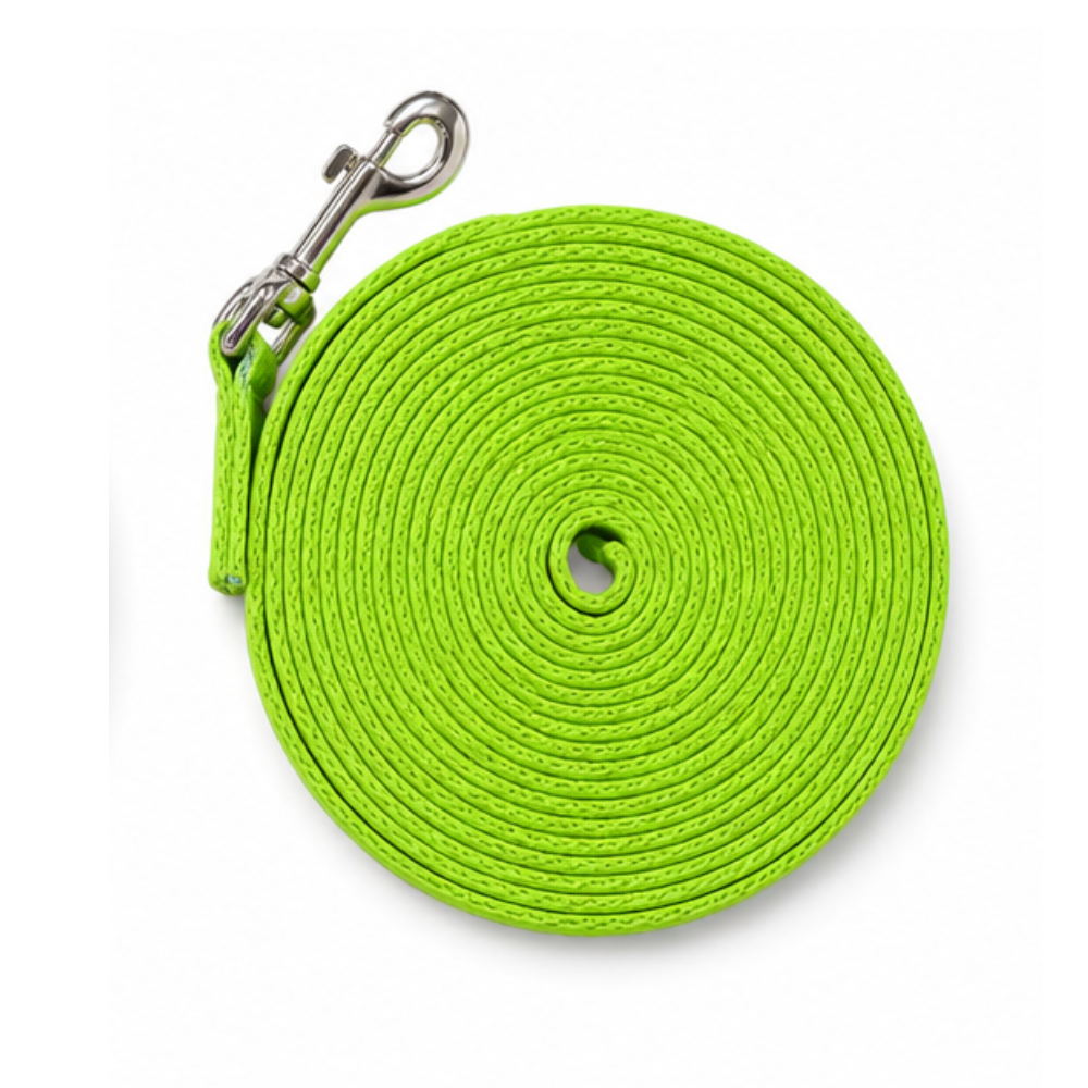 Lunge Lead Cushion Web