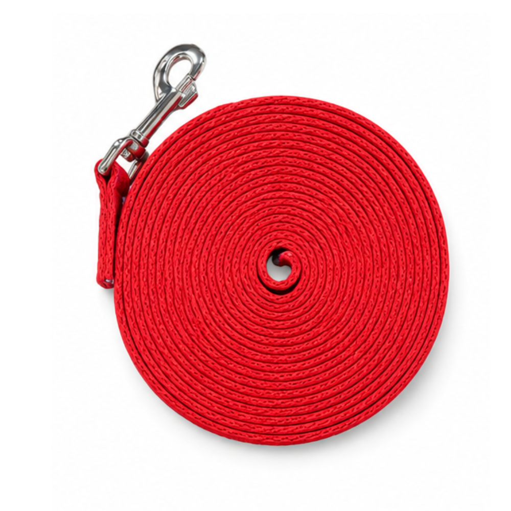 Lunge Lead Cushion Web