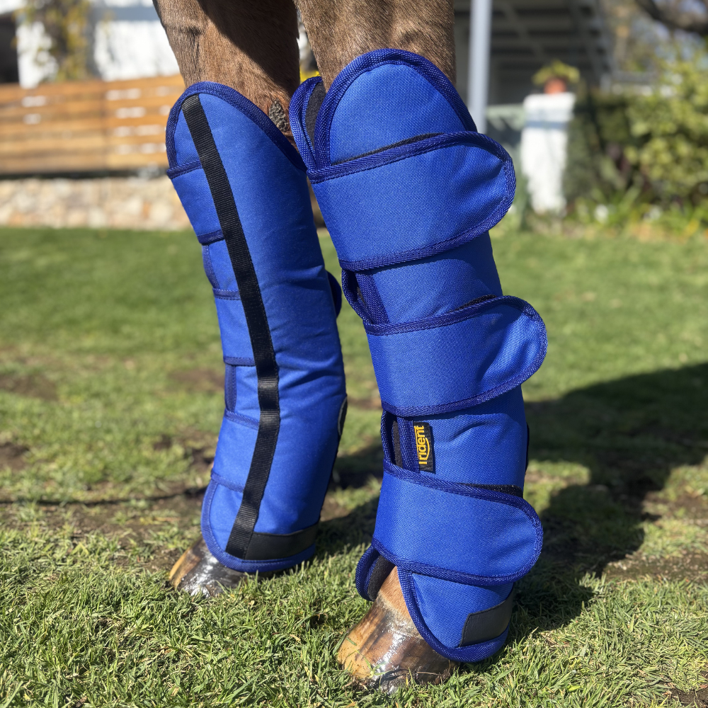 Trident Travelling Boot Full (4)