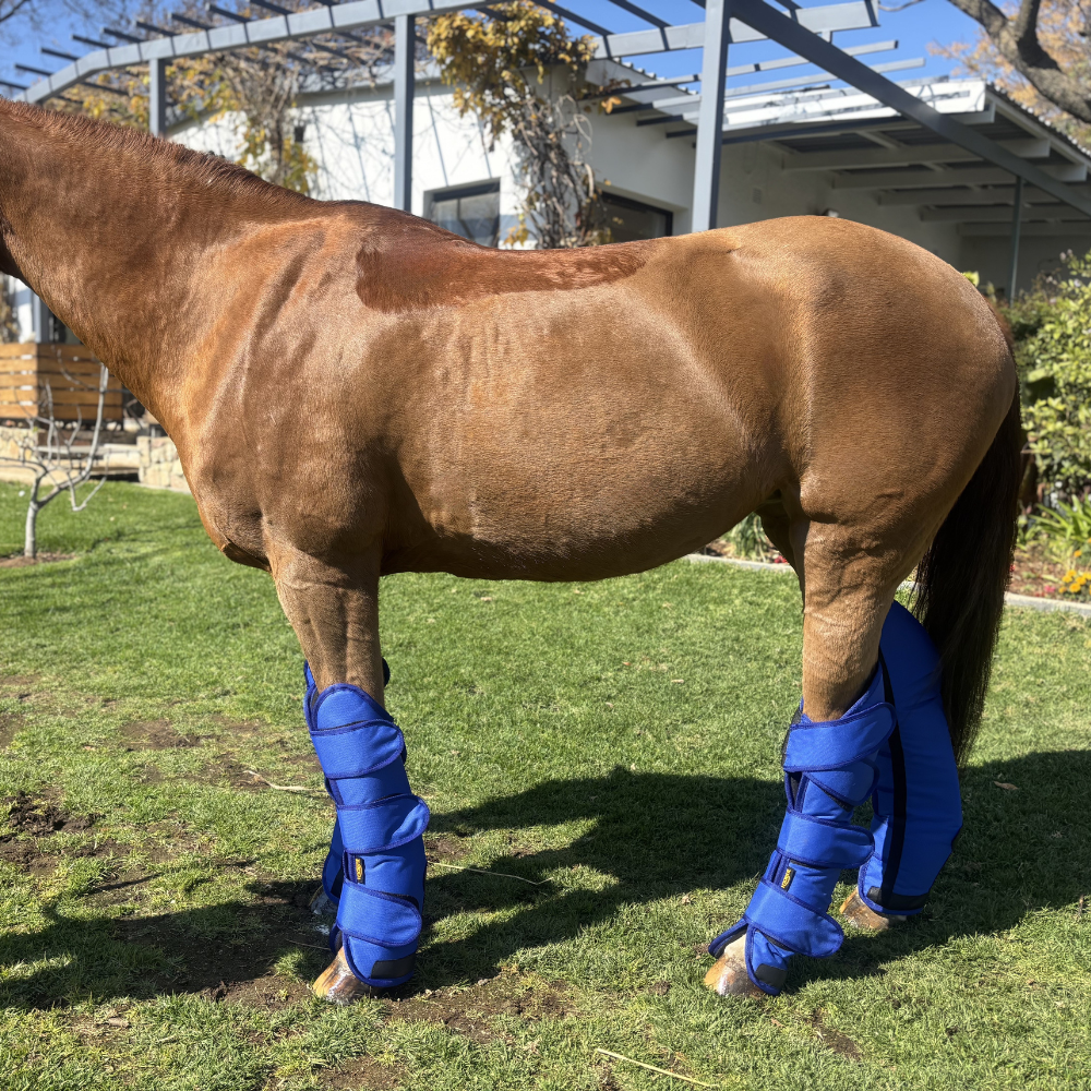 Trident Travelling Boot Full (4)