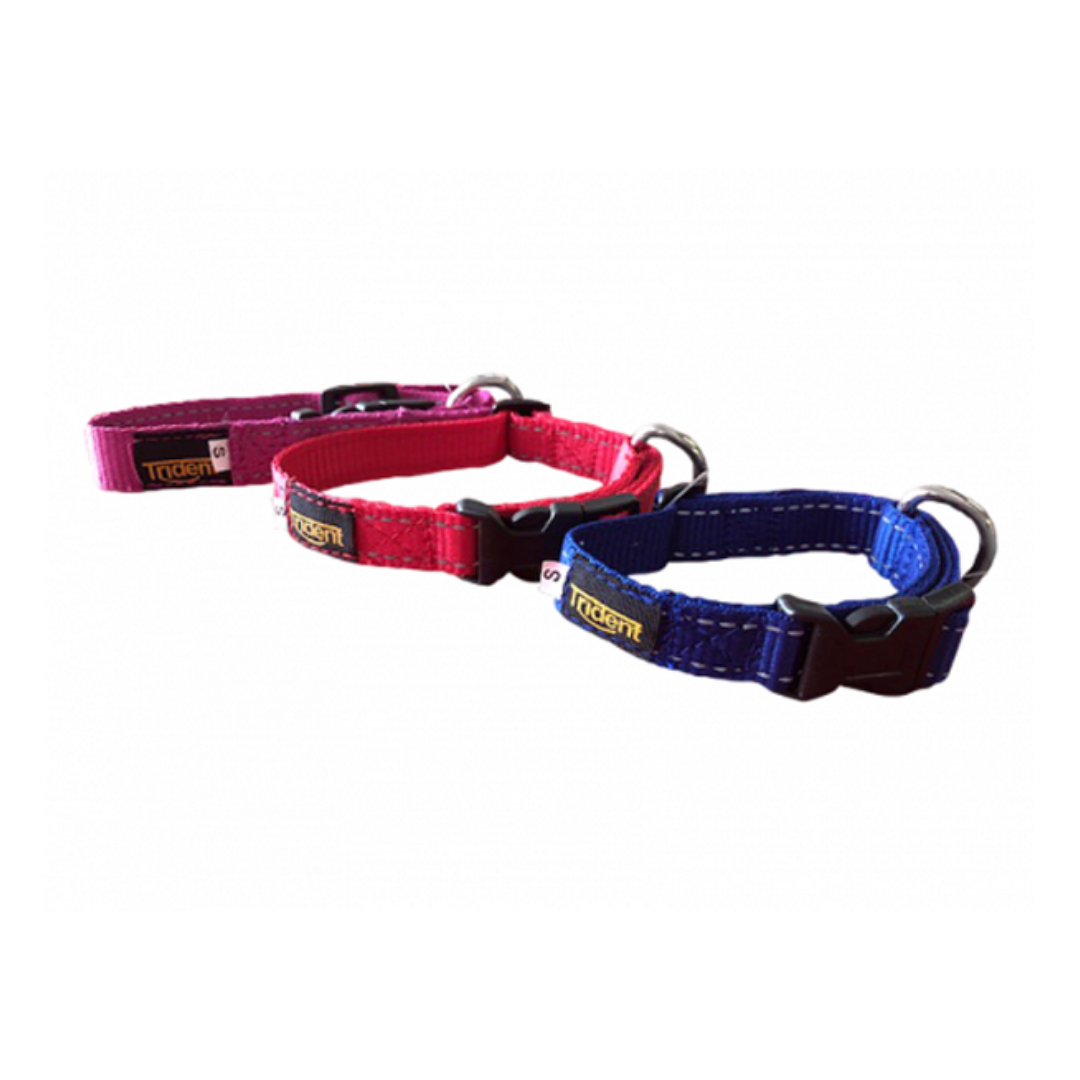 Orion Reflective Collar