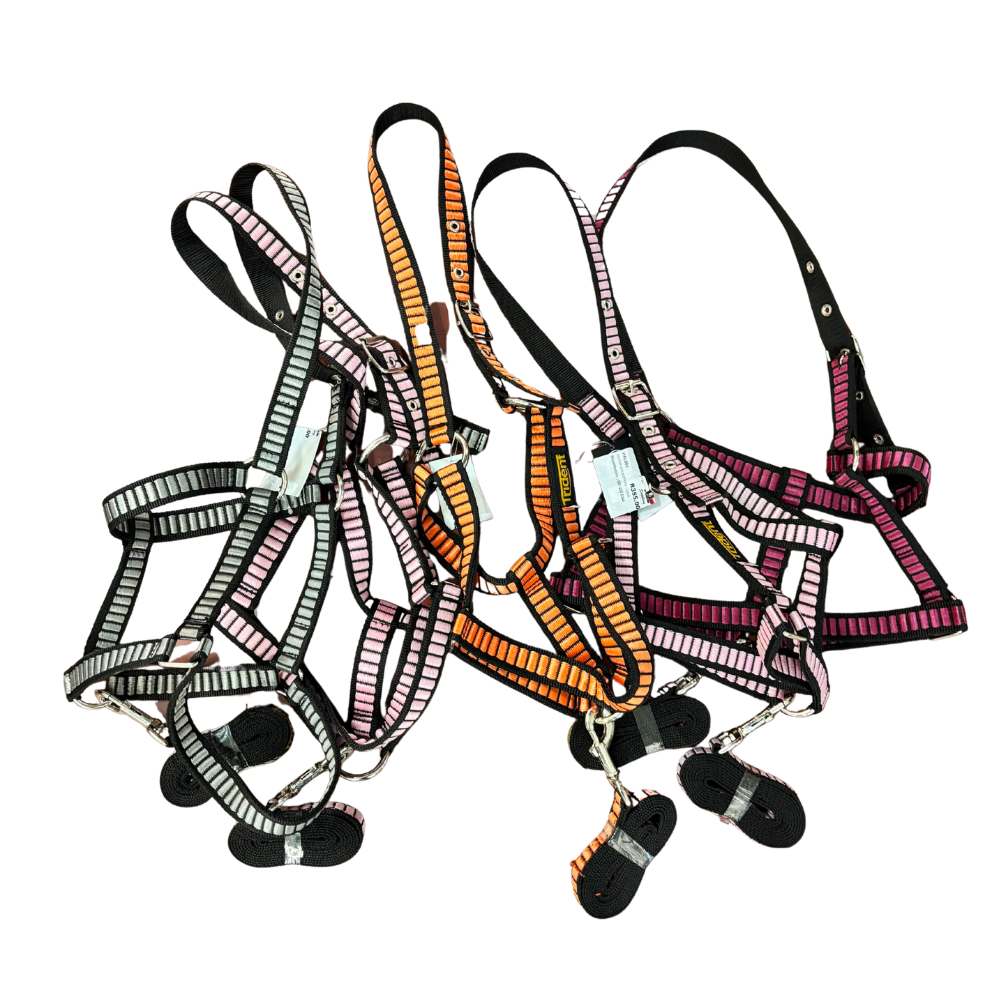 Lexus Headcollar & Lead (XS-XL)