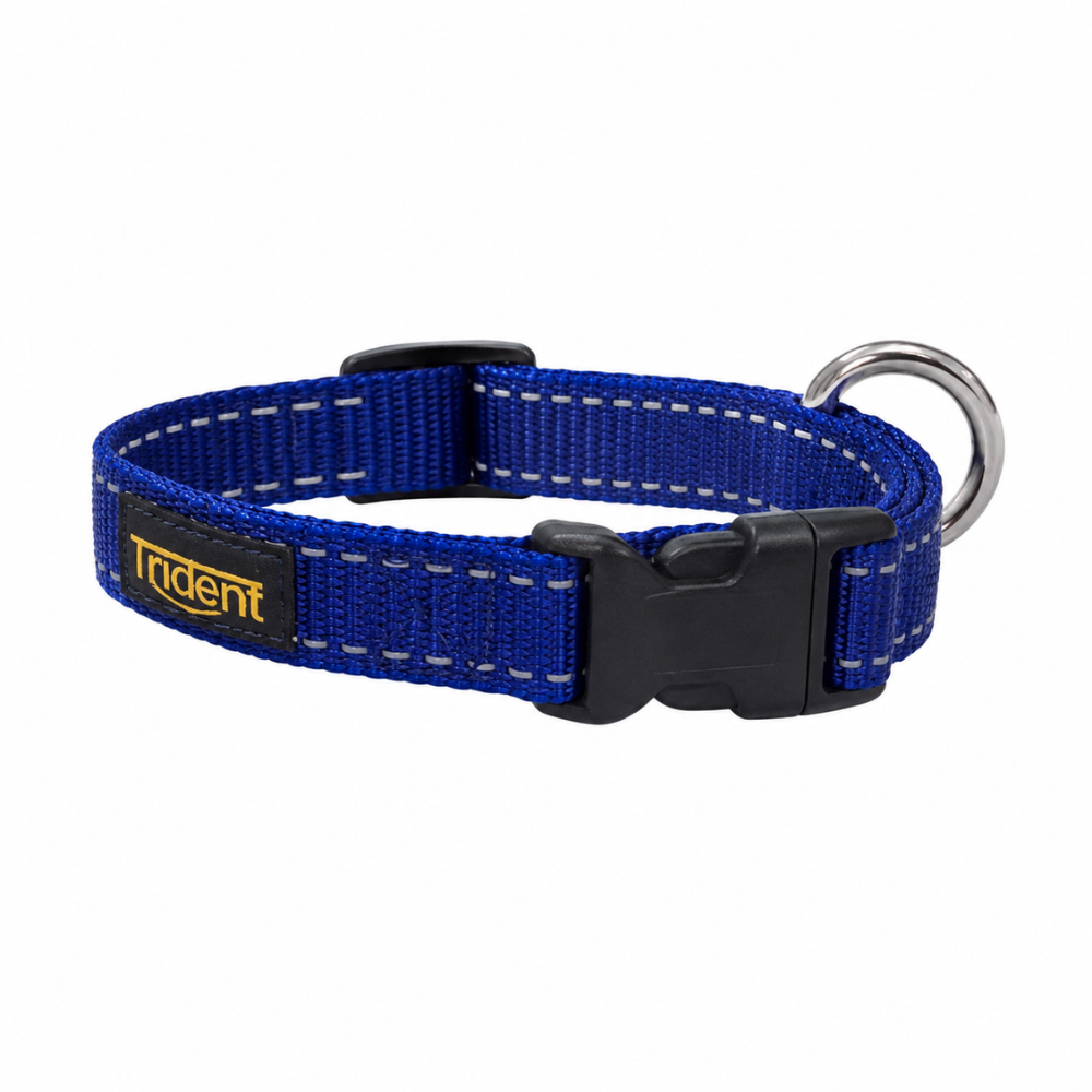 Orion Reflective Collar