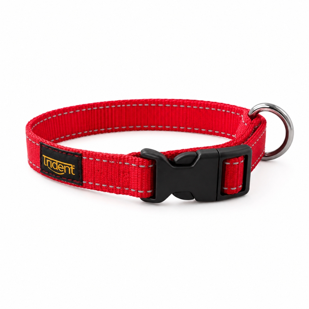 Orion Reflective Collar