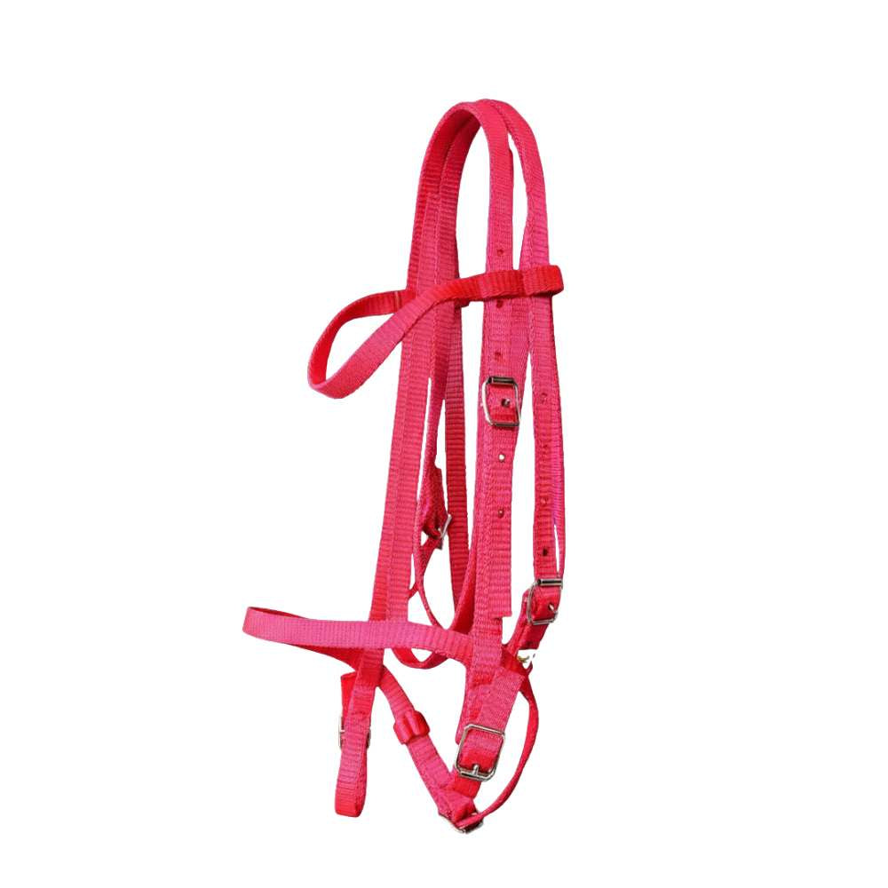 Web Bridle