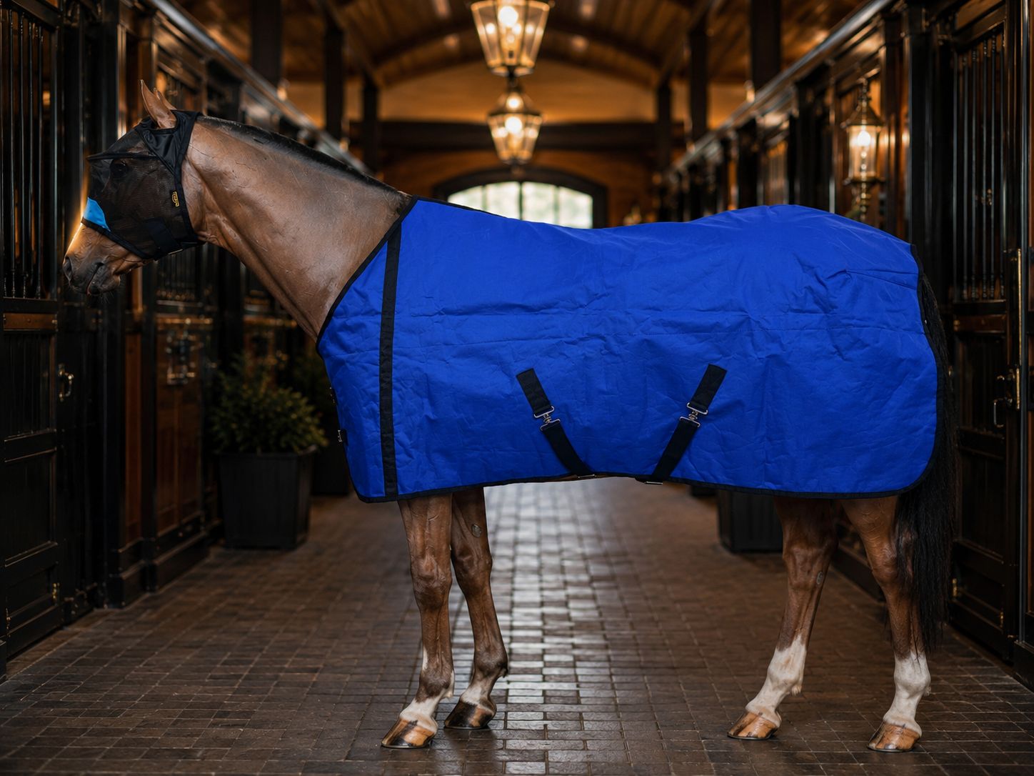 Horse wearing a blue blanket in a stable