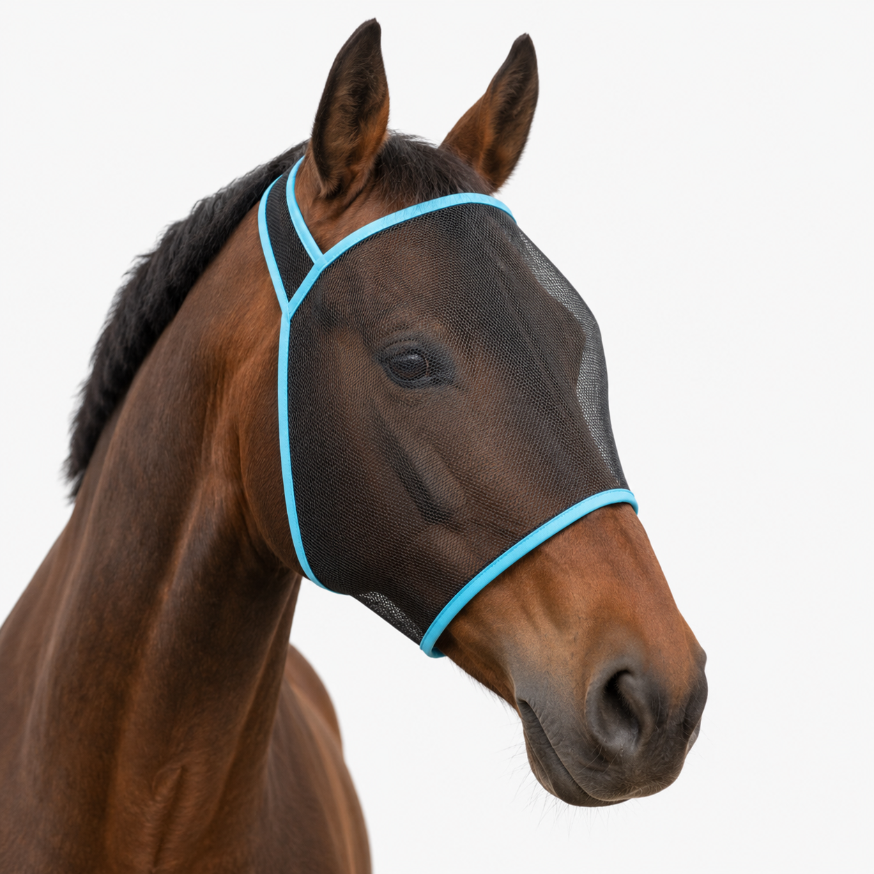Fly mask