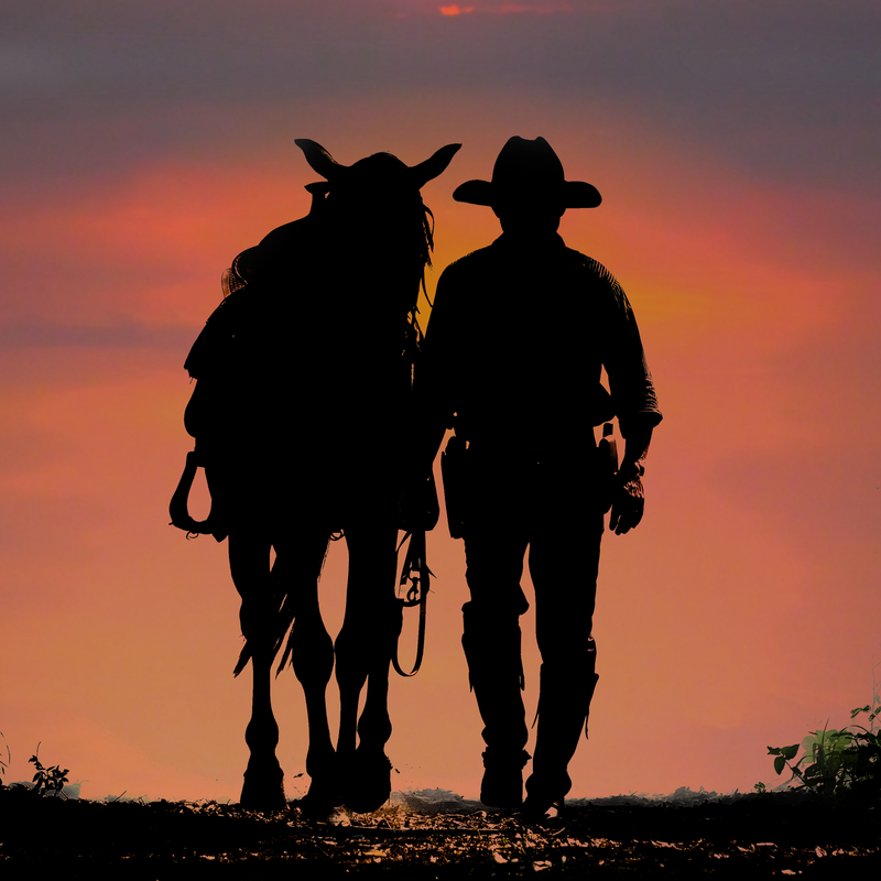 Horse & Equestrian