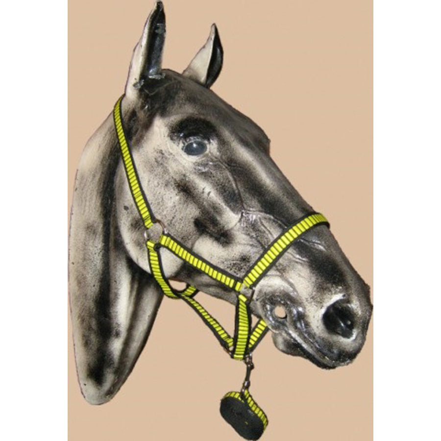 Nylon Head Collar & Lead (XS - XL)