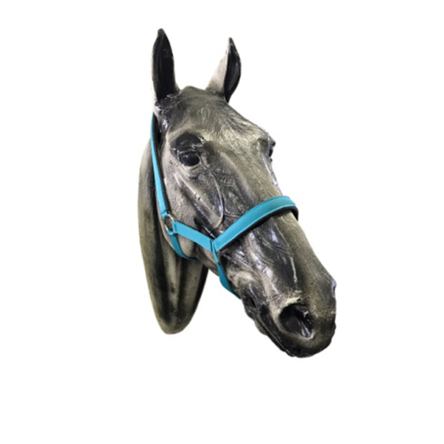 Pride Head Collar (S - XL)